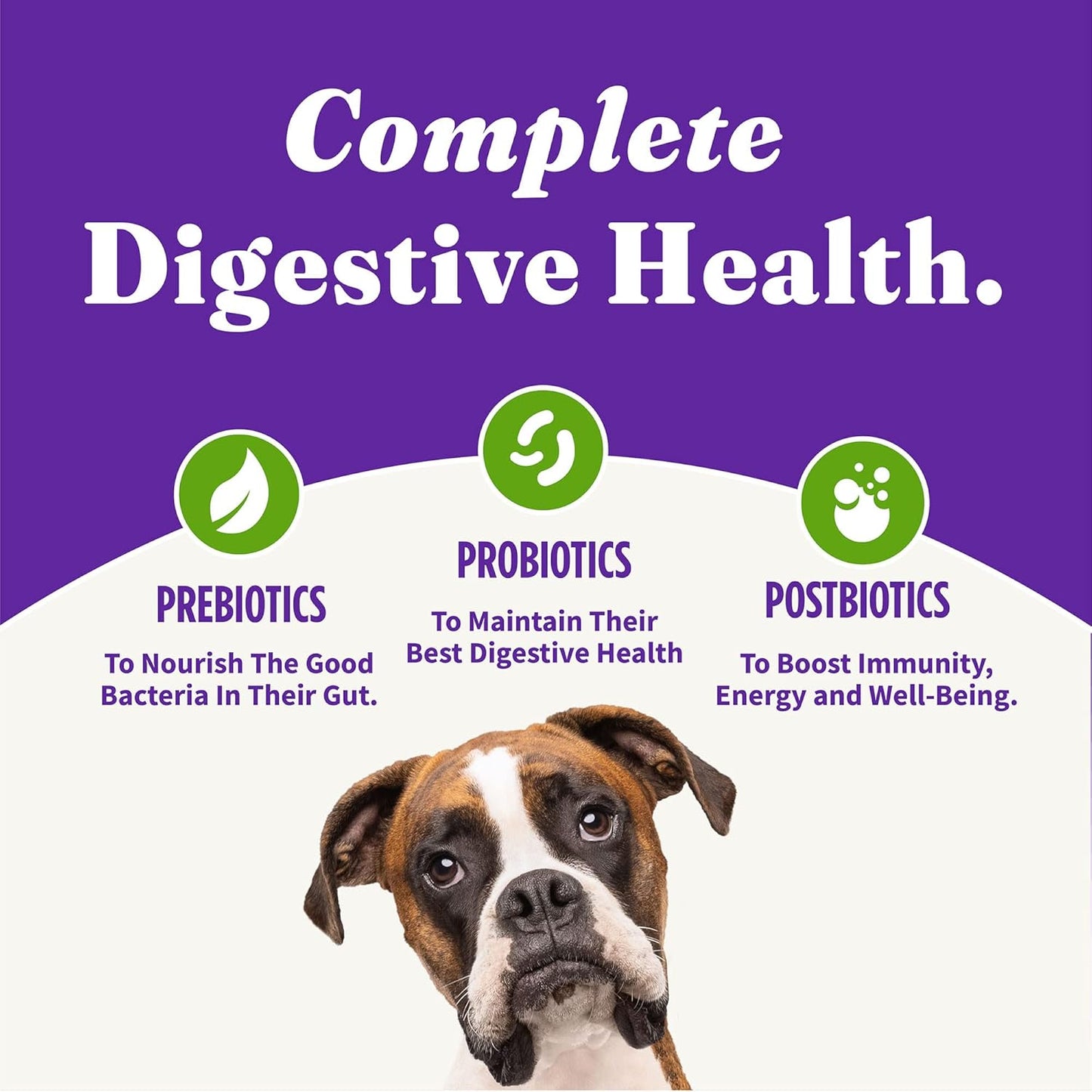 holistic adult dog vegan plant-based recipe with superfoods 3.5 lb bag