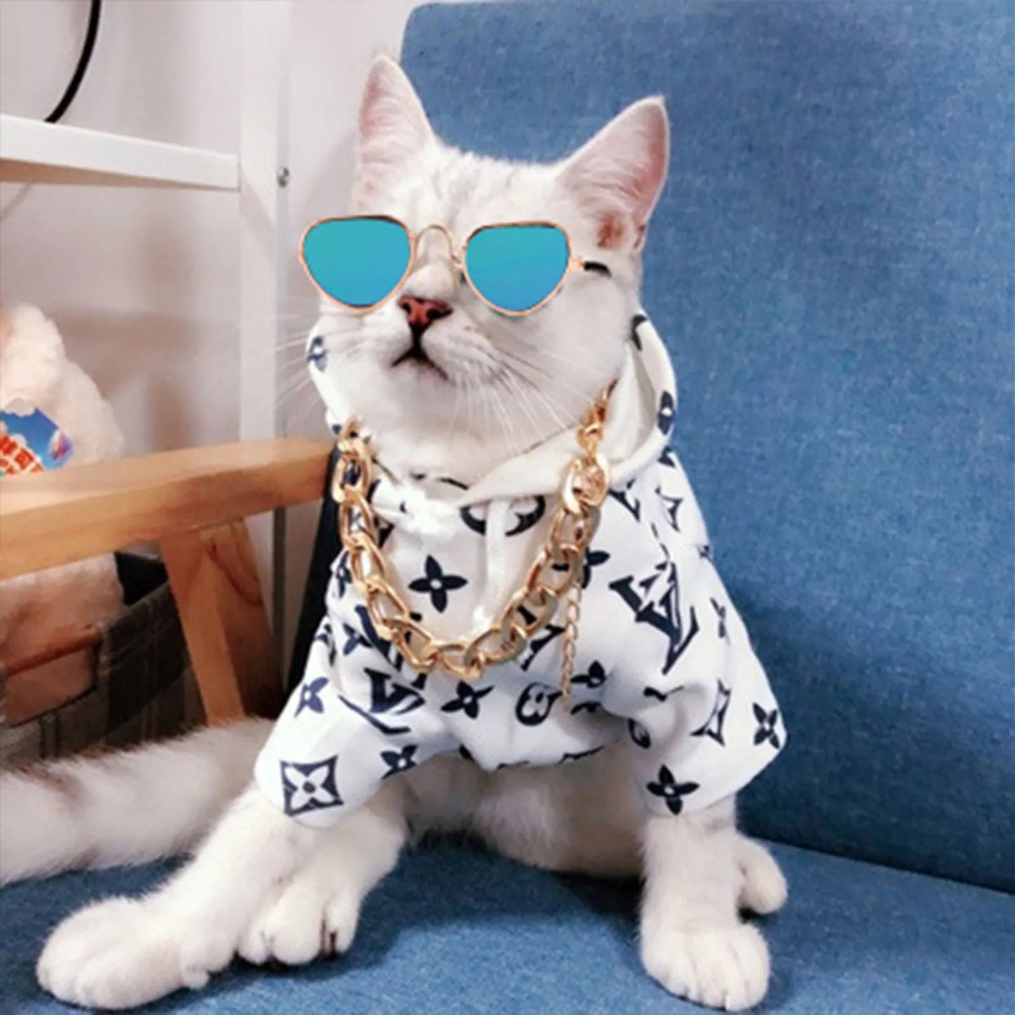 fashionable pet sunglasses