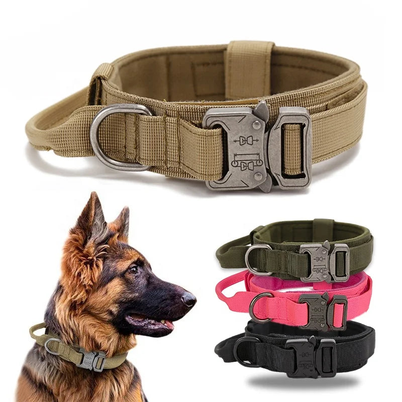 durable tactical dog collar