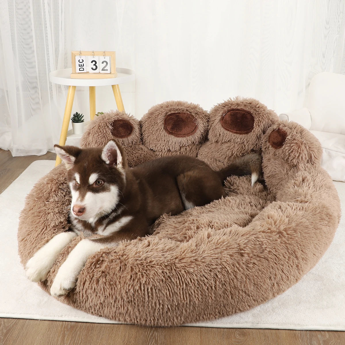 large bed for dogs and cats