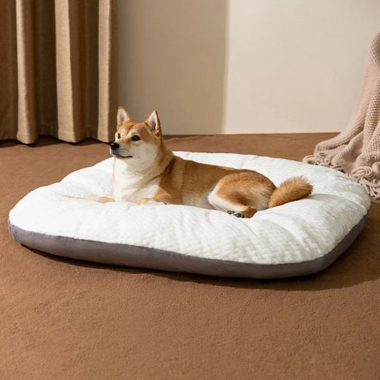 Thick Soft Dog Mats