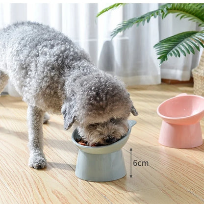 Anti-Dump Tall Cat Dog Bowl